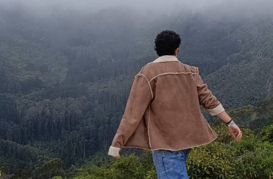 A person in a brown jacket stands on a hilltop, resembling a character from Jean's poetry, facing away with foggy forested mountains painting the background.