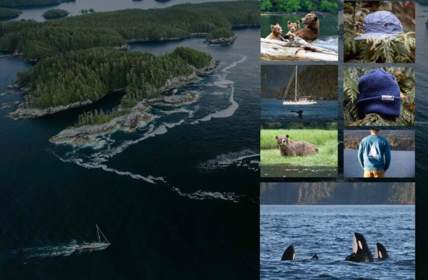 Aerial view of islands embraced by water, accompanied by sidebar images featuring bears, a hat, a sailboat, a majestic whale, and graceful killer whales.