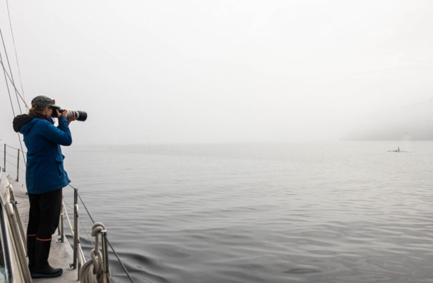 Two people on a boat, driven by their achiever spirit, watch and photograph a distant orca amidst foggy waters, as they conduct pelagic bird surveys in this serene yet enigmatic seascape.