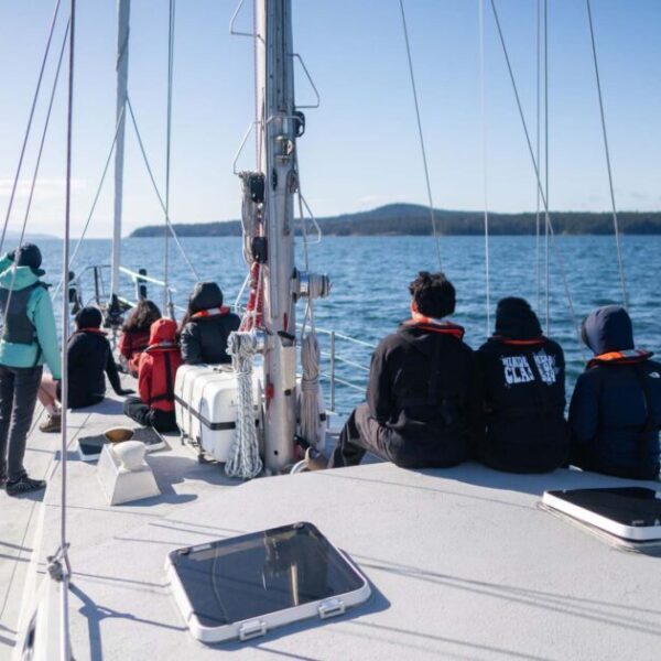 Sailing, stewardship, and sound