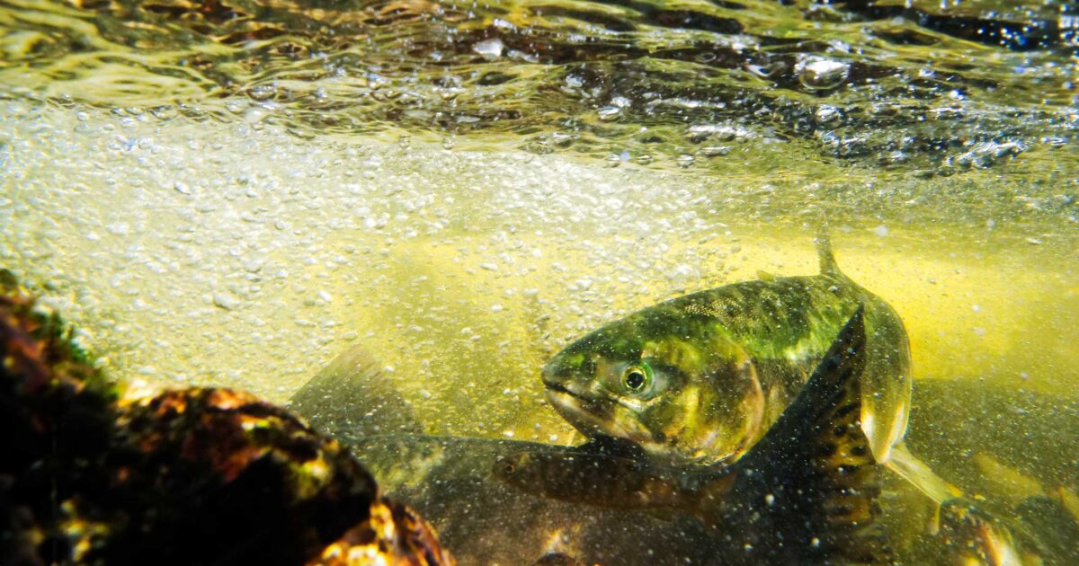 Watershed partnerships gather momentum