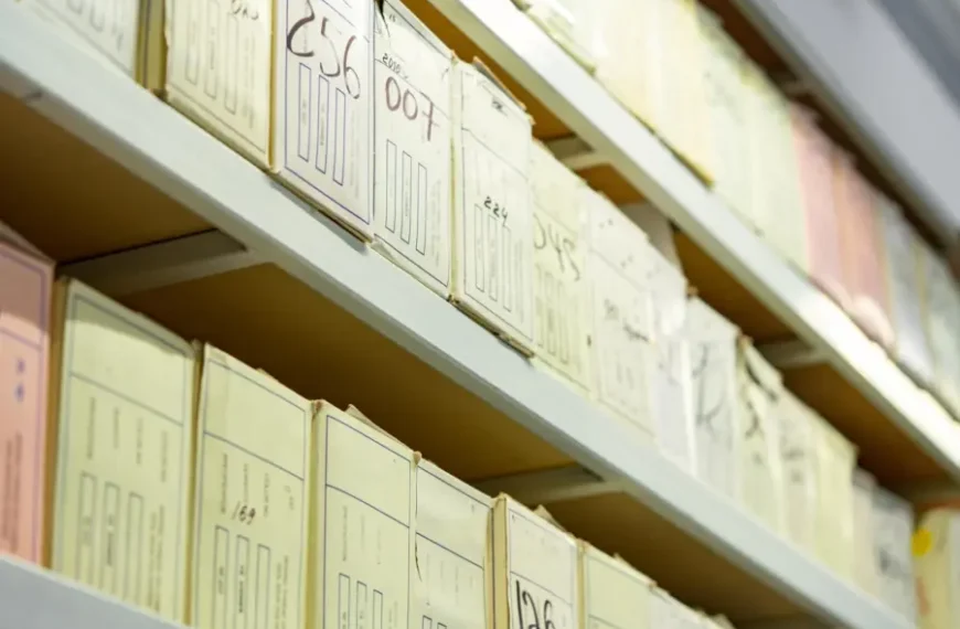 Archiving and curation