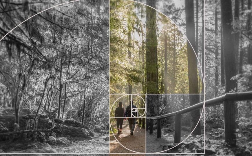 Two people walk on a forest path with a spiral overlay design, transitioning from black and white to color, symbolizing the journey of developing leadership skills and growing empathy along the way.