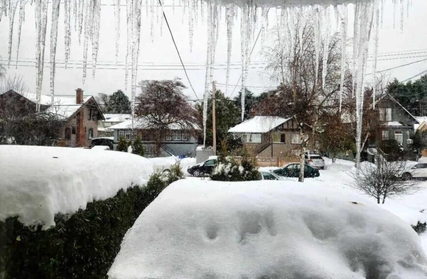 Through the window, Jade Oswald gazes at the snow-covered neighborhood street where icicles dangle from the roof. In this tranquil winter season scene, houses and trees blur against an overcast sky, evoking a serene sense of wonder.