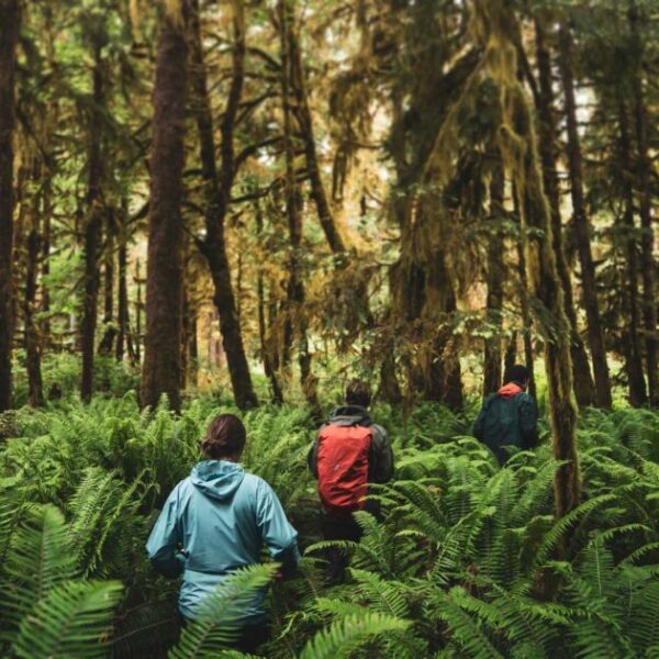 Connecting the community on all things wildfire in the Coastal Douglas-fir zone