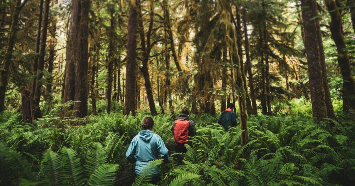 Connecting the community on all things wildfire in the Coastal Douglas-fir zone