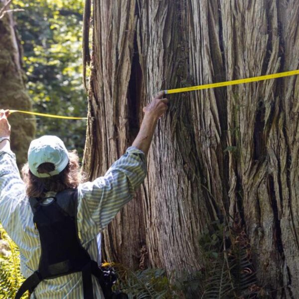 Conserving and restoring Coastal Douglas-fir forests