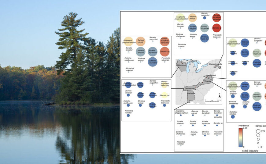 A serene lake landscape with trees in the background. Overlaid is a detailed infographic featuring charts, maps, and labeled data points on various geographic locations and environmental factors affecting the presence of ticks.