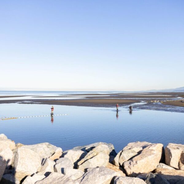 Fraser Estuary research and restoration