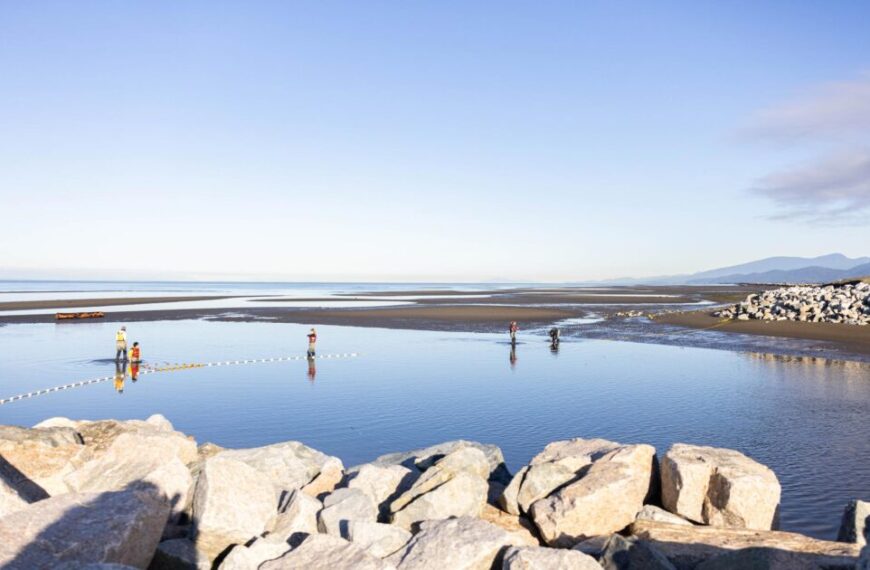 A rocky shoreline with people wading in shallow water under a clear sky, near the Fraser Estuary. A distant mountain range is visible on the horizon.