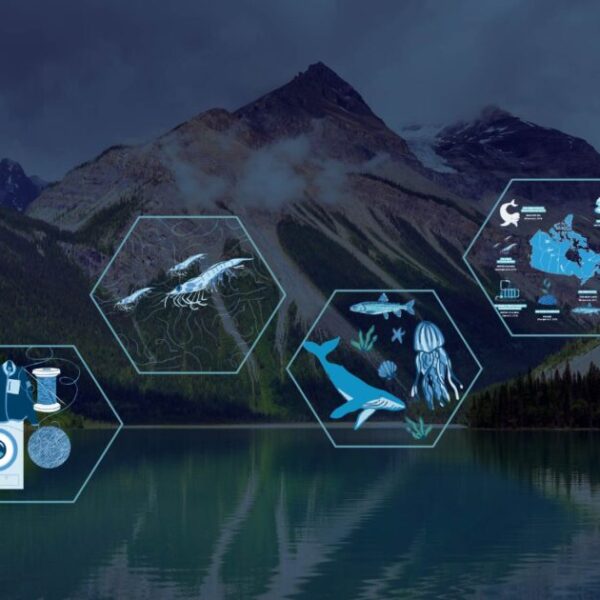 The Global Plastic Pollution Treaty negotiations failed: What this means for microplastic pollution in Canada’s environment