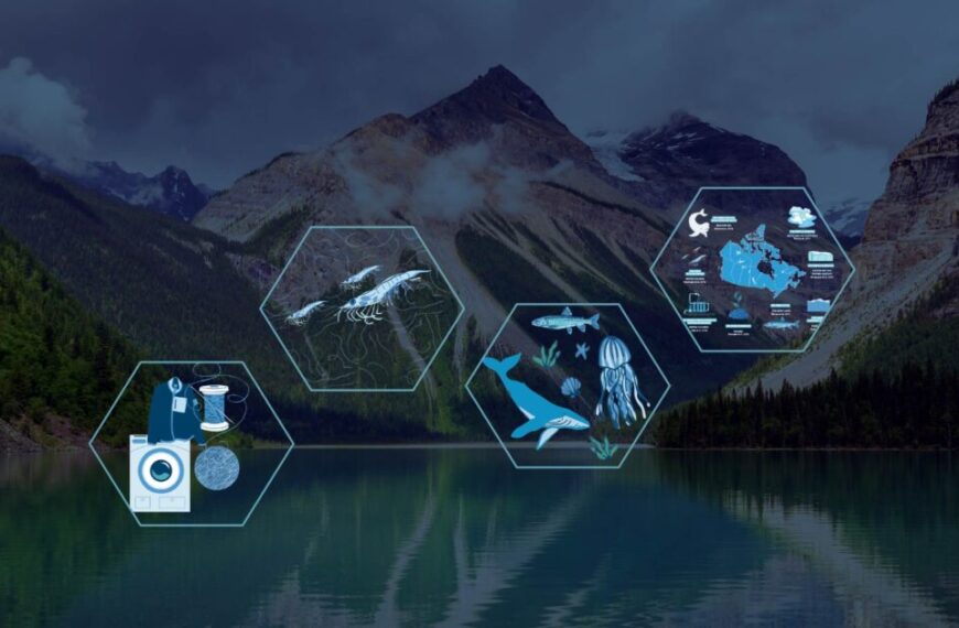 Hexagons display marine life and ecosystem graphics over a serene lake and mountainous landscape, highlighting Canada's environment while subtly nodding to the challenges of microplastic pollution.