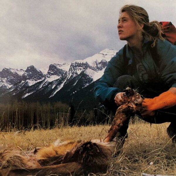 Episode 4: The science and ethics of tracking wolves with Shelley Alexander