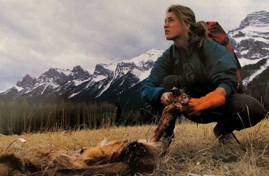 Person in outdoor clothing squats on grass, examining animal remains; mountainous landscape in the background under a cloudy sky, illustrating the science of tracking wolves.