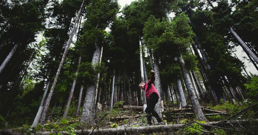A person in a red jacket stands in perfect balance amid a dense forest, surrounded by tall trees and fallen logs.
