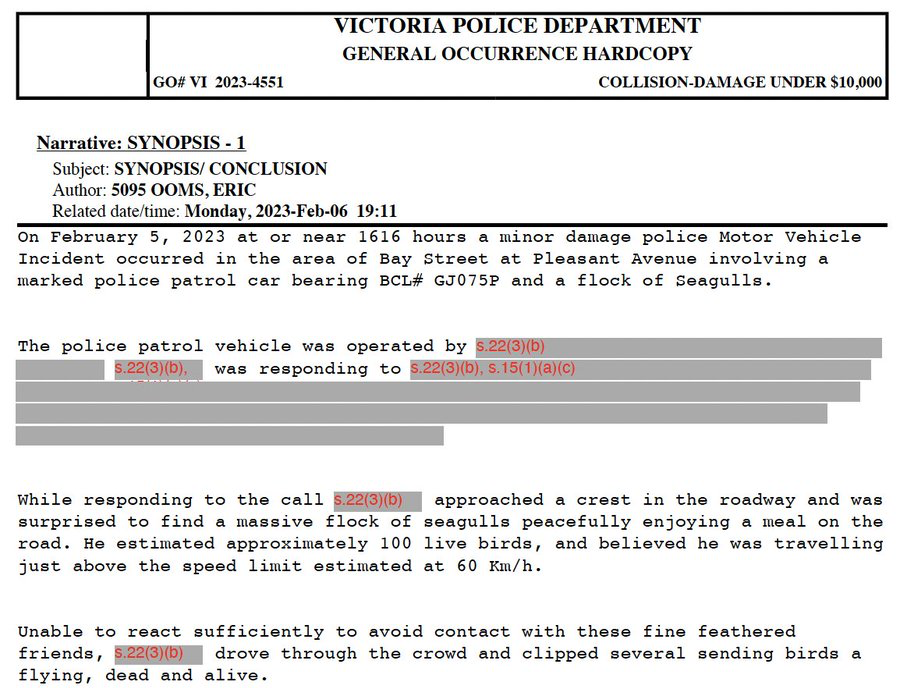 VicPD Eric Ooms Seagulls 1