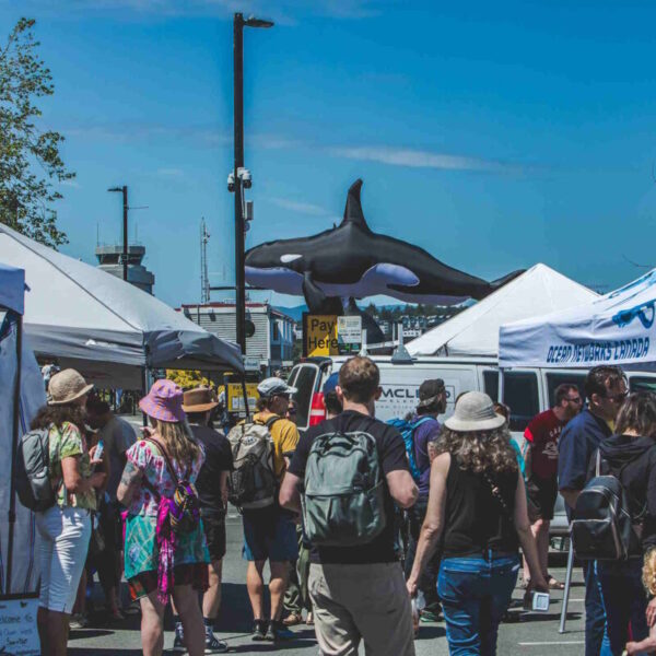 Celebrate World Ocean Day with Raincoast
