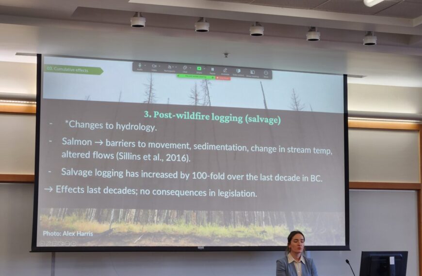 A presenter stands beside a projection screen displaying a slide about post-wildfire logging and its cumulative effects on hydrology and legislation in British Columbia at the Public Interest Environmental Law Conference hosted by Raincoast.