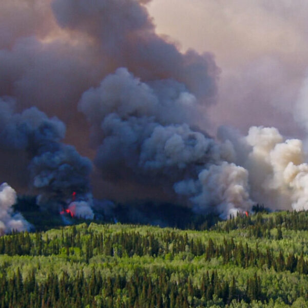 Fighting fire with fire, or dancing with flames?