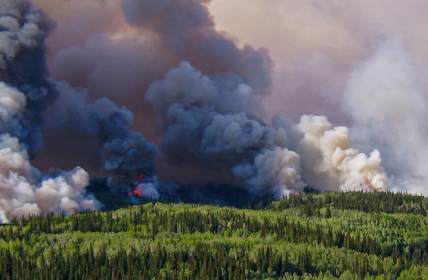 Large plumes of smoke and small flames rise from a forest fire dancing with flames through a densely wooded area, with green trees in the foreground.