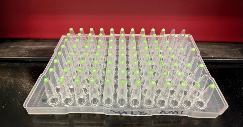 How biobanks are revolutionizing medical research — and why Canada needs one for Lyme disease