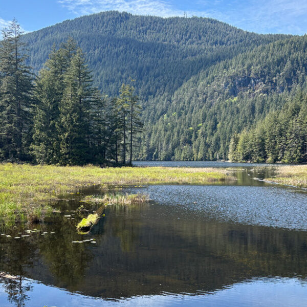 Tests on Bowen Island water supply produce surprising results