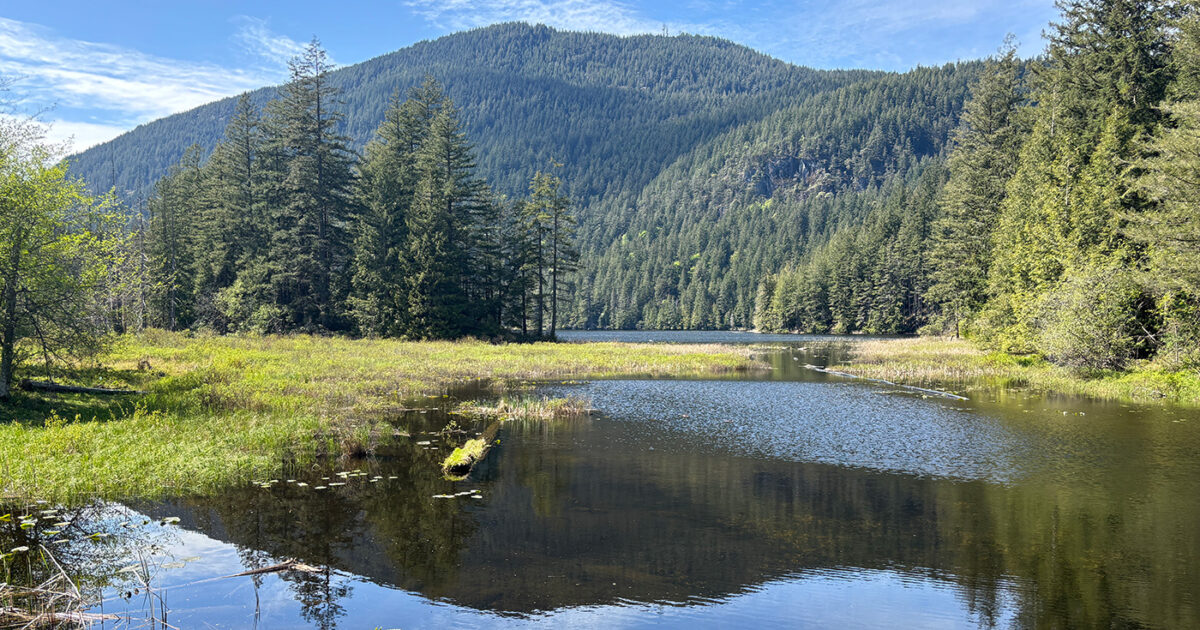 Tests on Bowen Island water supply produce surprising results