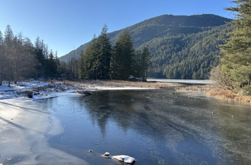 A partially frozen Grafton Lake with snow on its banks, surrounded by evergreen trees and a forested mountain under a clear blue sky—raising concerns about potential water contamination from human sewage.