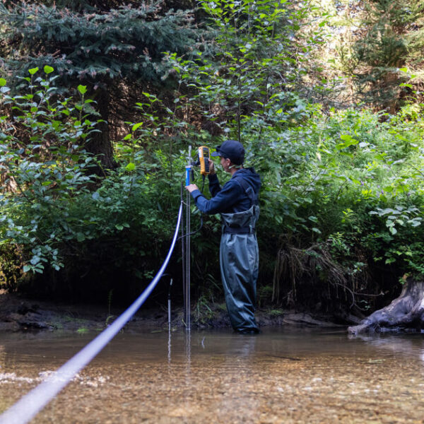 Drought jeopardizes salmon in the Nicola watershed