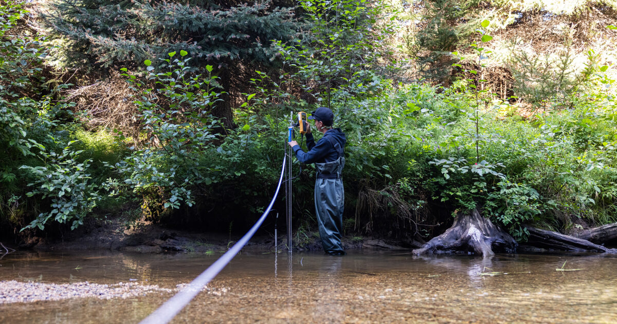Drought jeopardizes salmon in the Nicola watershed
