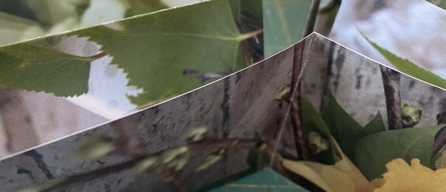 Close-up of folded printed paper featuring images of green leaves, yellow flowers, and a textured gray background, offering a glimpse into New Chapter in Exploring Artists’ Books.
