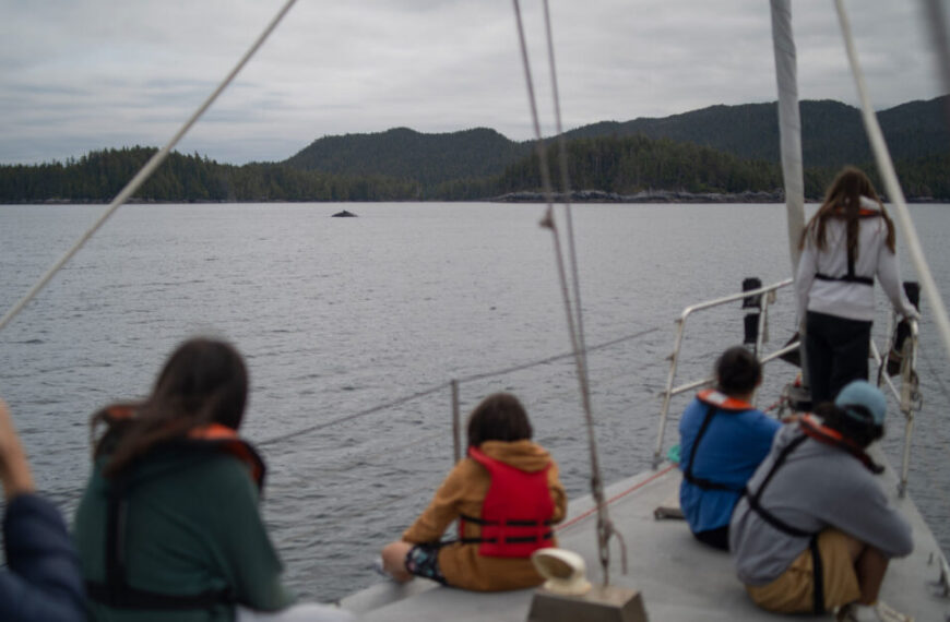 People wearing life jackets practice marine-mammal safe boating as they observe a whale surfacing in the distance from the deck of a boat off the calm, overcast coast near forested islands.
