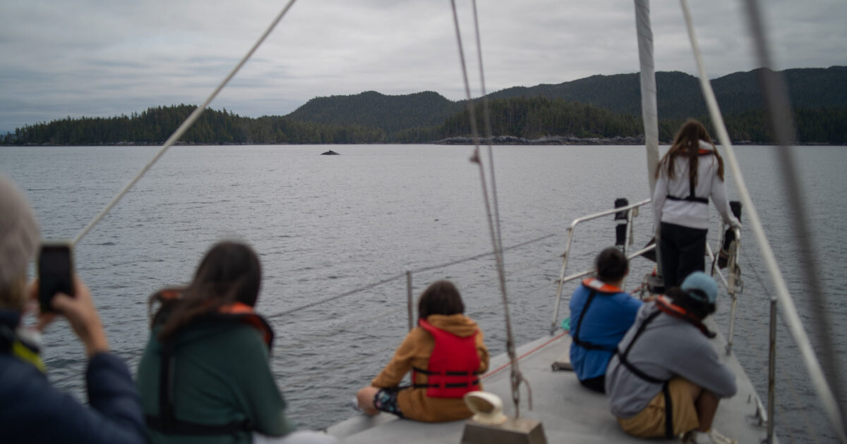 Building a culture of marine-mammal safe boating on the coast
