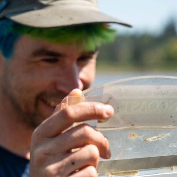8. Salmon 101; laying the foundation with Allison Dennert and Dave Scott