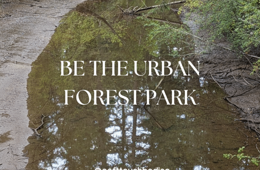 A shallow creek with muddy banks runs through a densely wooded forest, inviting peaceful meditations. Text on the image reads, "BE THE URBAN FOREST PARK @softtouchbodies.