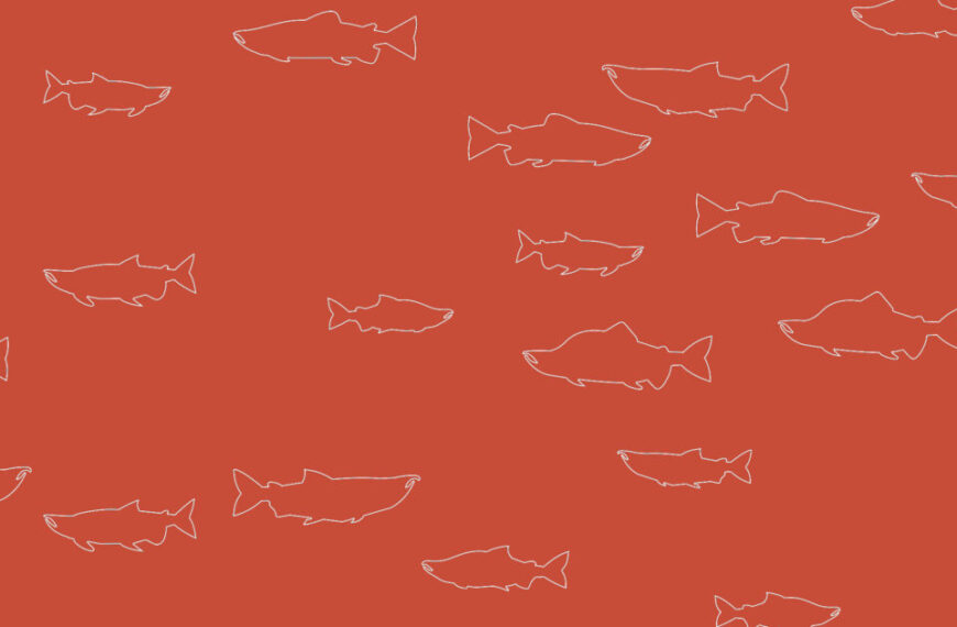 White line drawings of fish are scattered on a solid orange-red background in a simple, repeating pattern—each illustration suggesting there’s more than a fish to discover in this charming design.