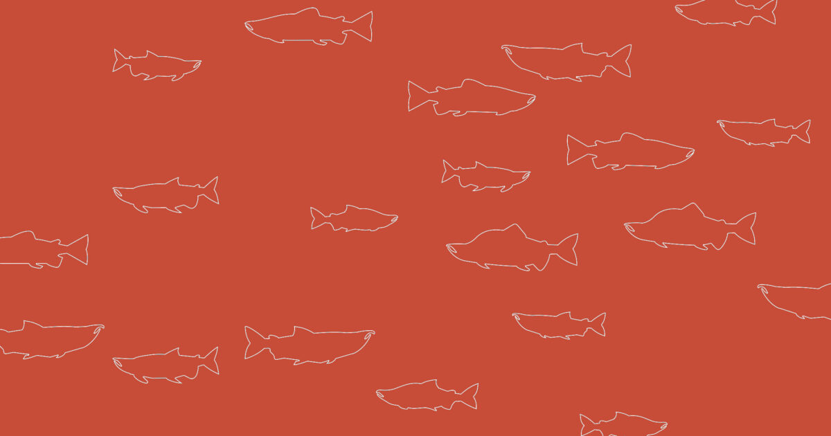 Introducing More than a fish