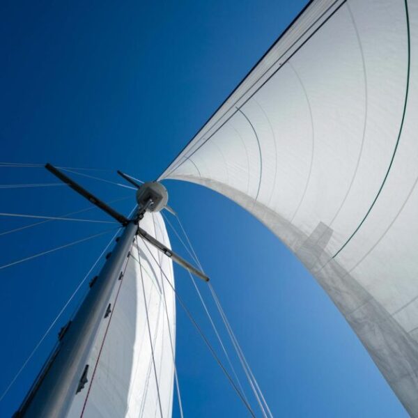 Join us for a free five-day land-to-sea educational expedition through the Salish Sea