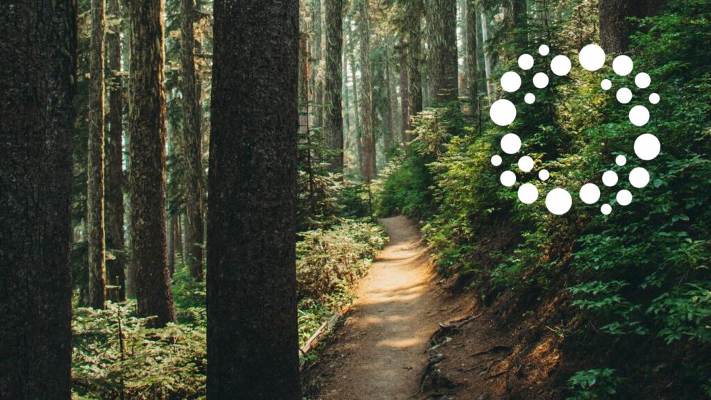 Mindful Communication and Listening at Royal Roads University