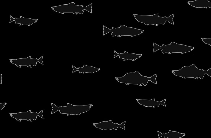Simple white outlines of fish are scattered across a black background, creating a pattern of variously sized fish silhouettes—reminiscent of marine life celebrated on Raincoast Radio.