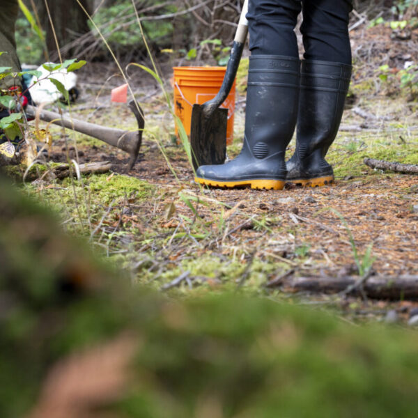 Engaging the next generation of land healing stewards