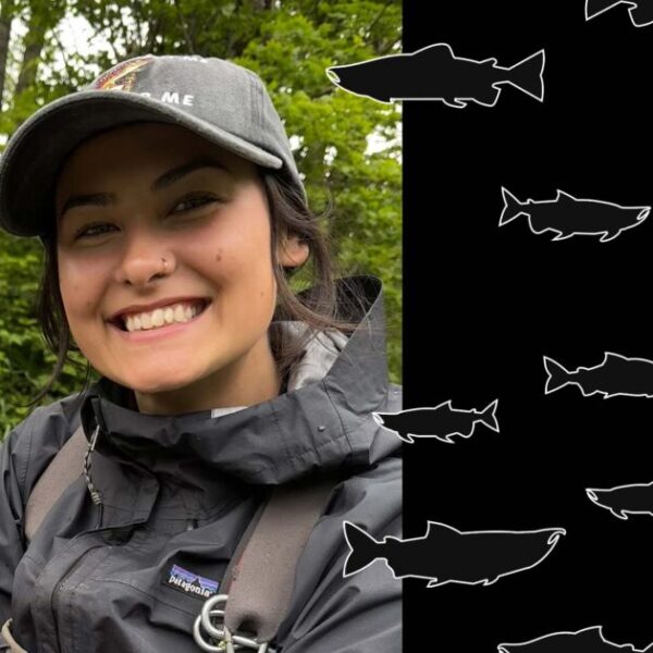 Episode 14: The journey upstream as a student with Arielle Koenig, Pacific Salmon Ecology and Conservation Lab