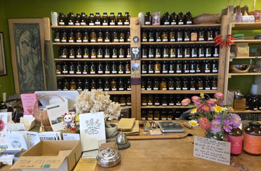 A wooden shop counter with tea filters, dried flowers, and informational cards from Green Muse Herbs; shelves behind hold many glass jars containing herbs or tea—perfect inspiration for your holiday gift guide.