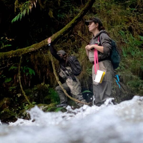 30 years in the Great Bear Rainforest