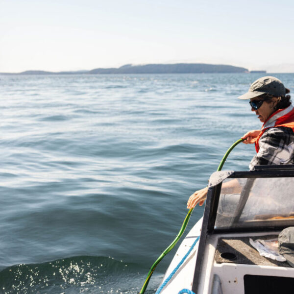 A wave of community support for hosting coastal listening stations