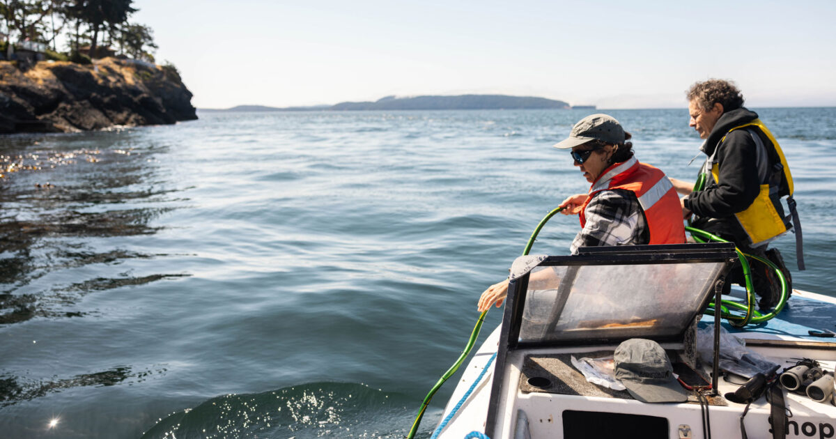 A wave of community support for hosting coastal listening stations