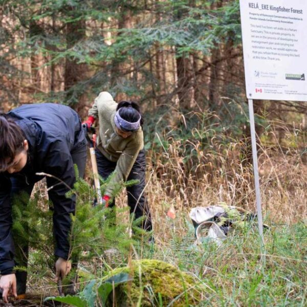 Communities for Coastal Douglas-fir habitats
