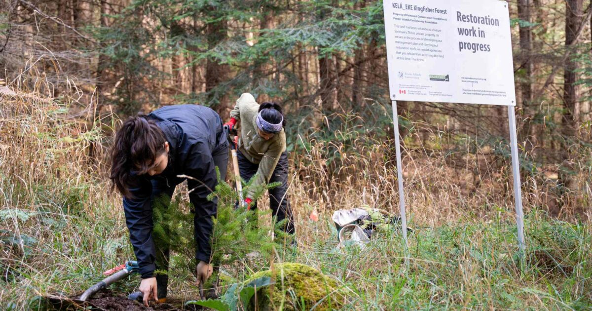 Communities for Coastal Douglas-fir habitats