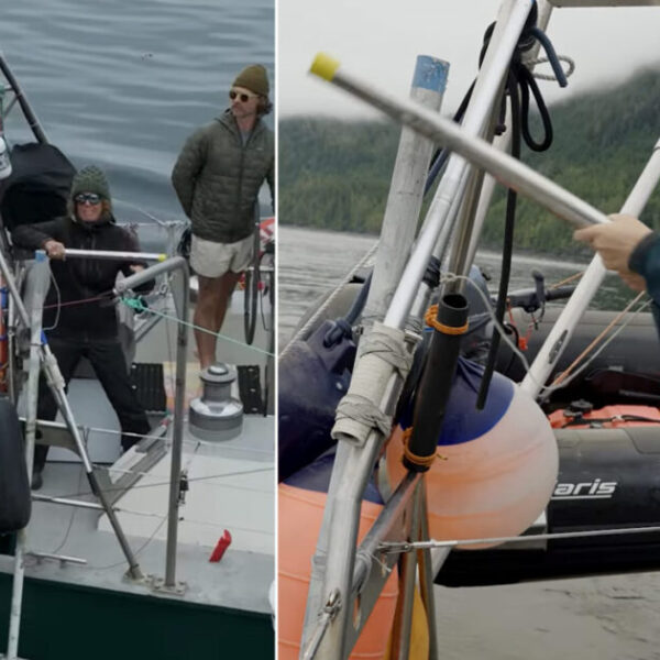 What does whacking a metal pole tied to the side of our research vessel have to do with killer whale conservation
