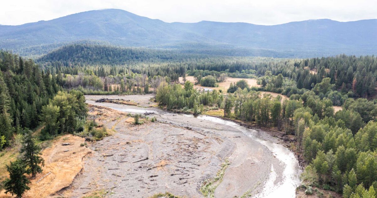 Thermal refuges in the Coldwater River